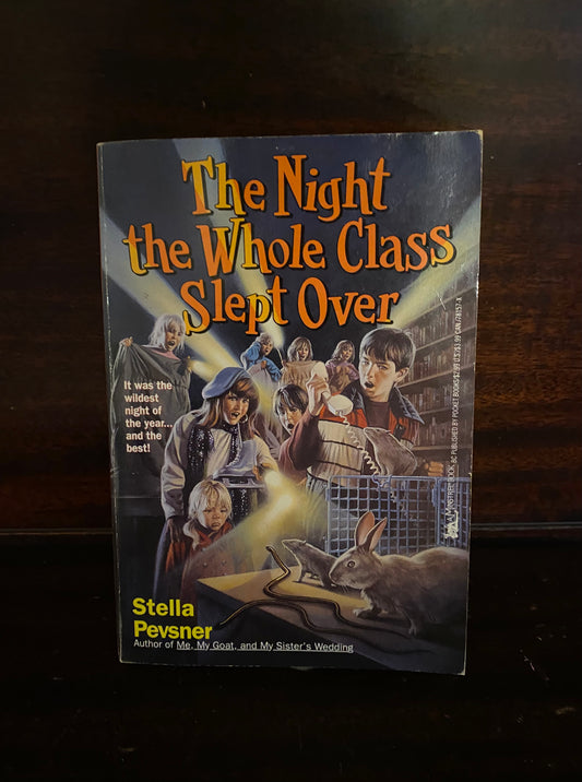 The Night the Whole Class Slept Over by Stella Pevsner
