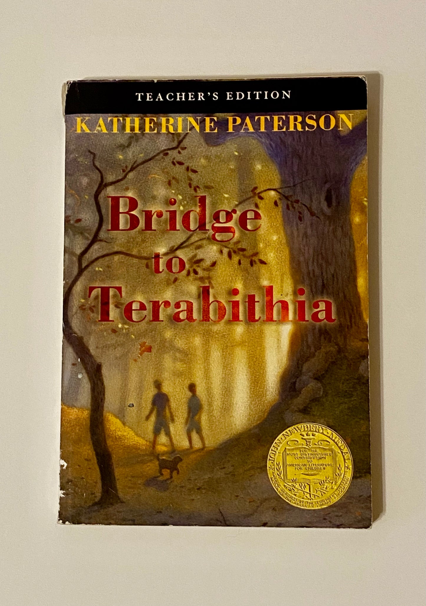 Bridge to Terabithia by Katherine Paterson