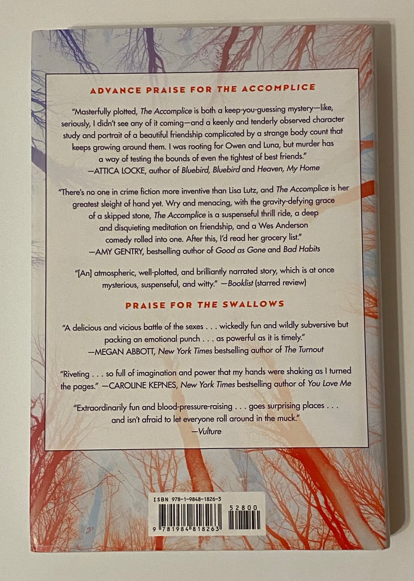 The Accomplice by Lisa Lutz