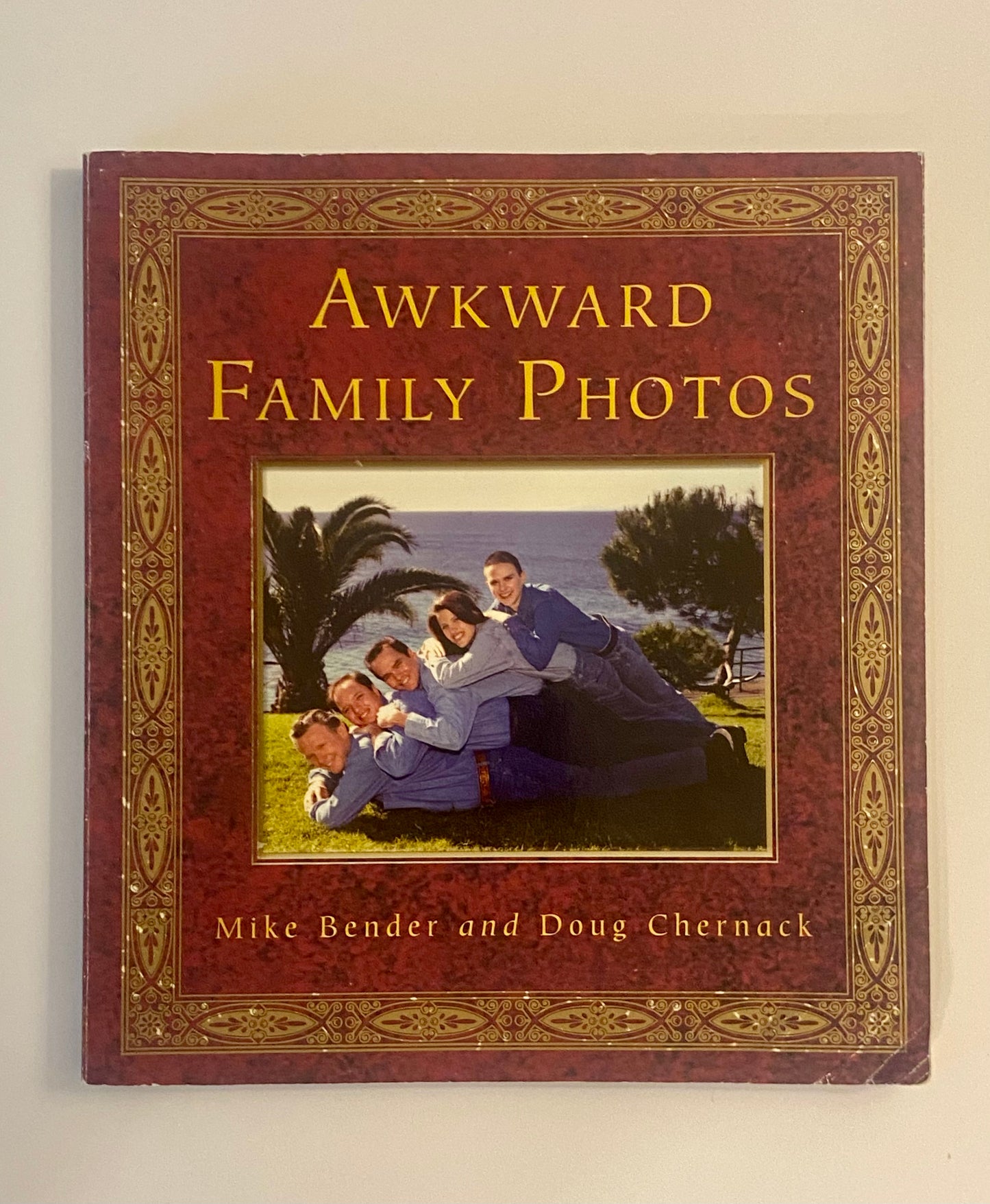 Awkward Family Photos by Mike Bender & Doug Chernack