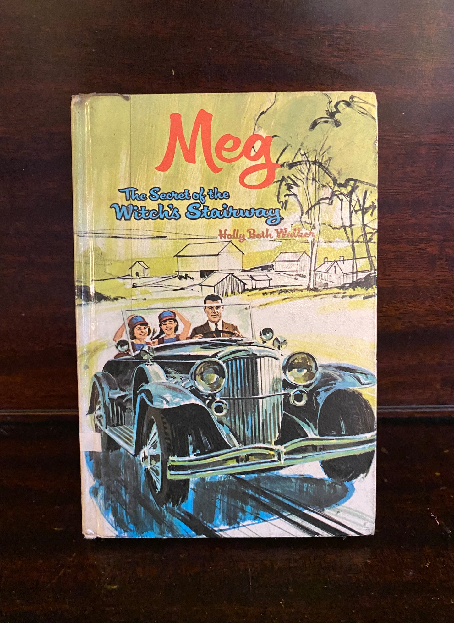 Meg: The Secret of the Witch’s Stairway by Holly Beth Walker