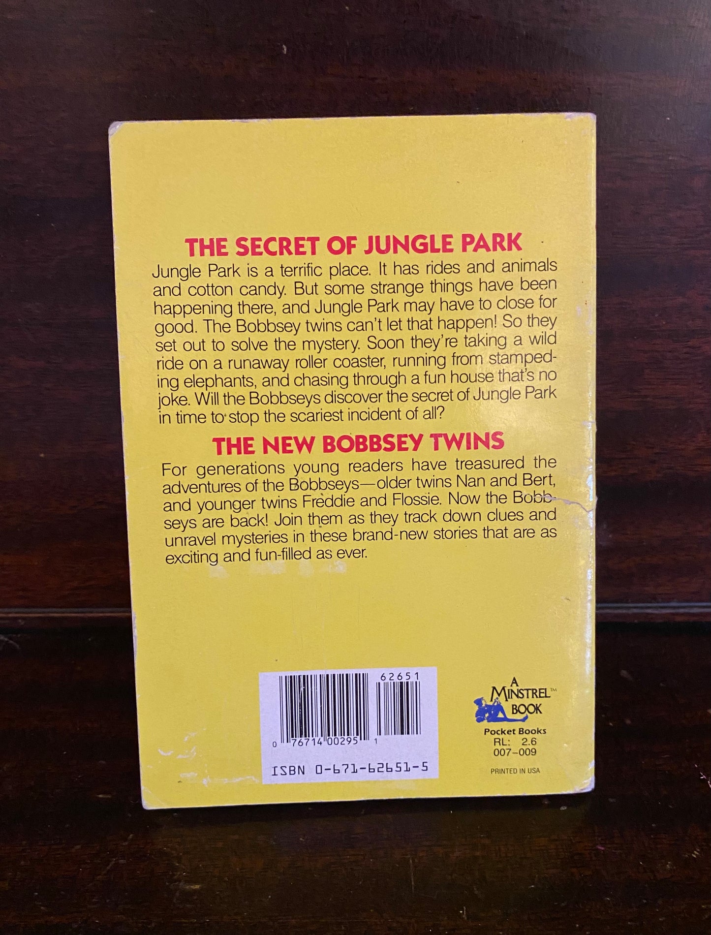 The New Bobbsey Twins: The Secret of Jungle Park