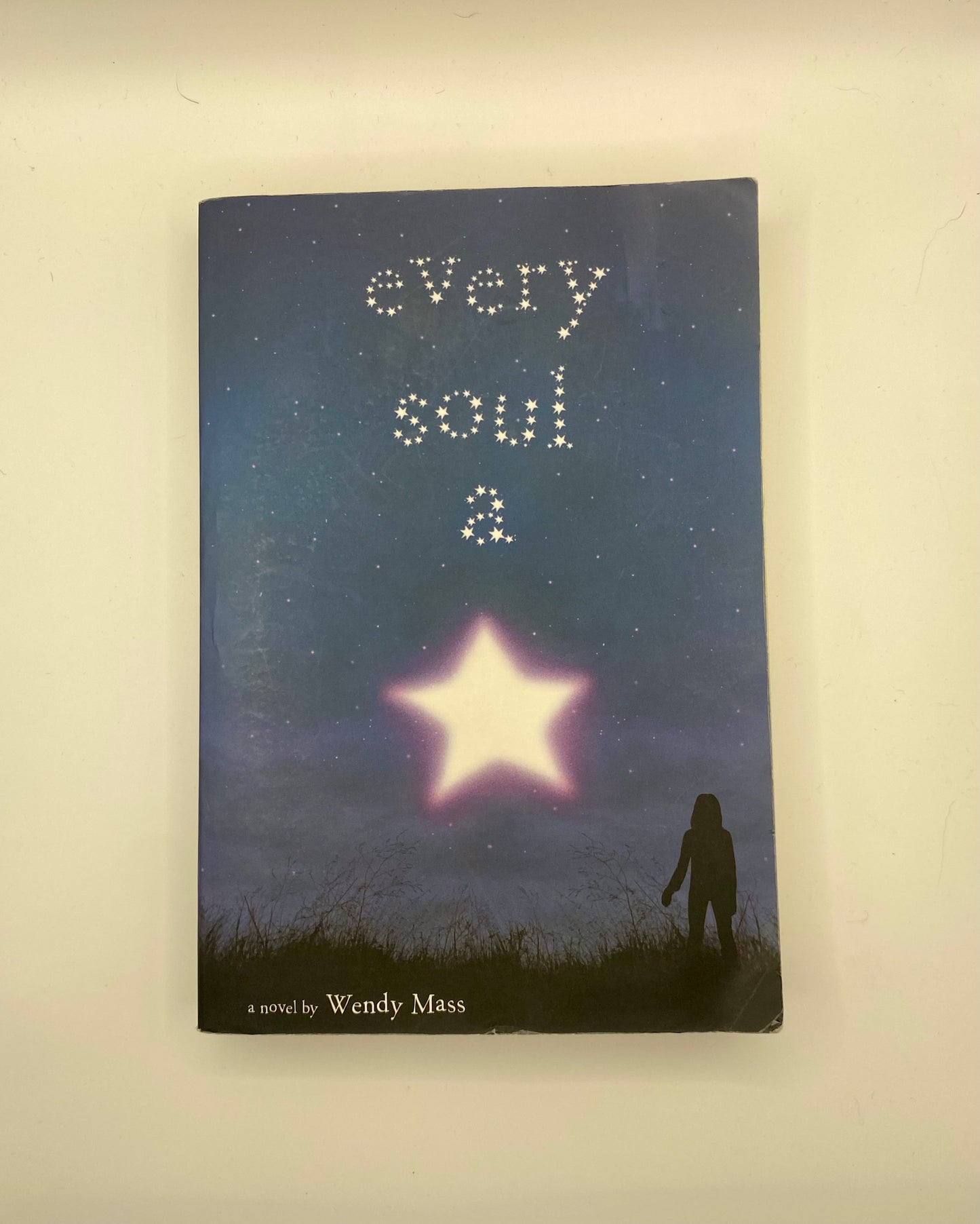 Every Soul A Star by Wendy Mass
