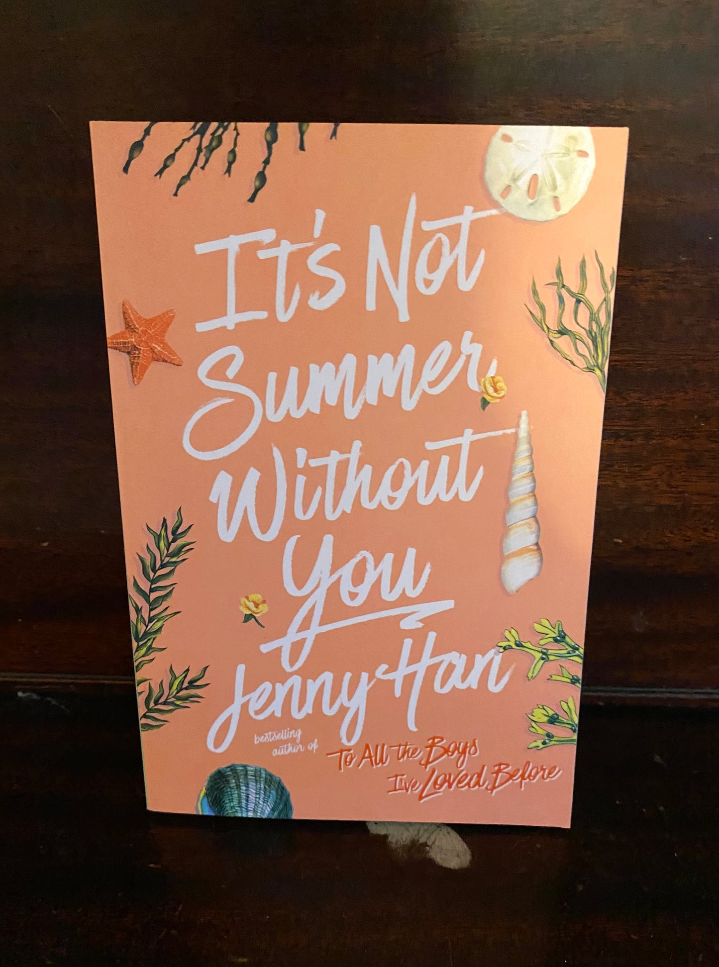 It's Not Summer Without You by Jenny Han